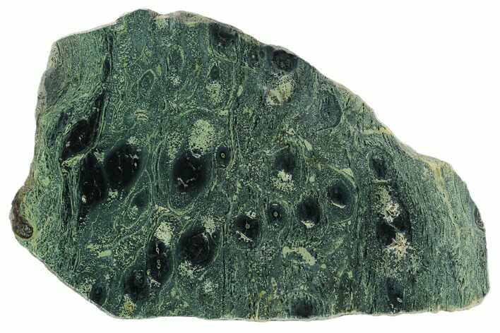 Polished Kambaba Jasper Slab - Madagascar #129831